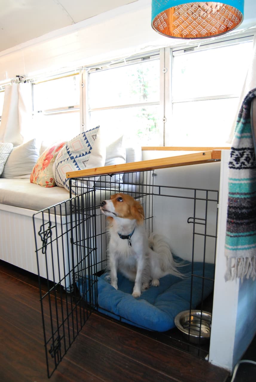 07-casal-troca-apartamento-por-onibus-escolar-tiny-home