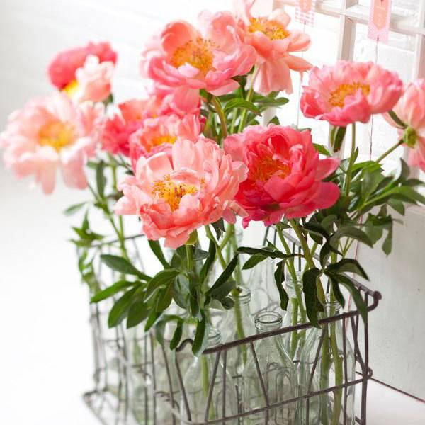 O que a sua flor favorita diz sobre a decoração da sua casa