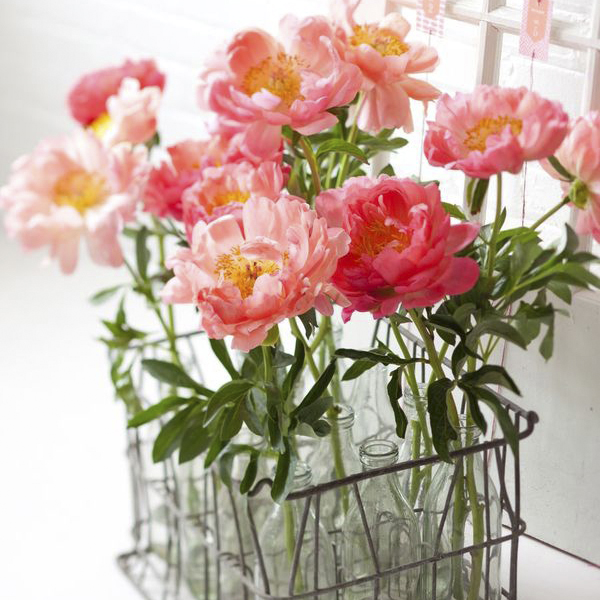 O que a sua flor favorita diz sobre a decoração da sua casa