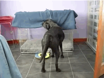 Isto é Prático: 24 produtos que adoramos ter em casa nos dias de frio