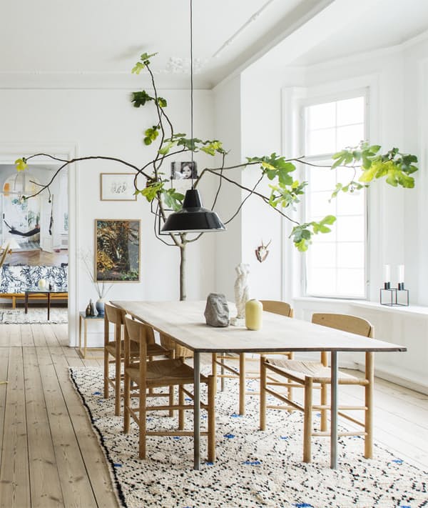 3-arvores-que-voce-pode-cultivar-em-casa