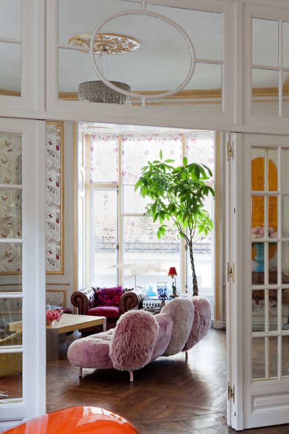 5-arvores-que-voce-pode-cultivar-em-casa