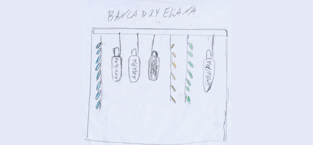 banca-de-ervas