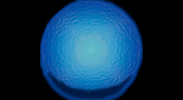 Lâmpada feita com bactérias brilha no escuro