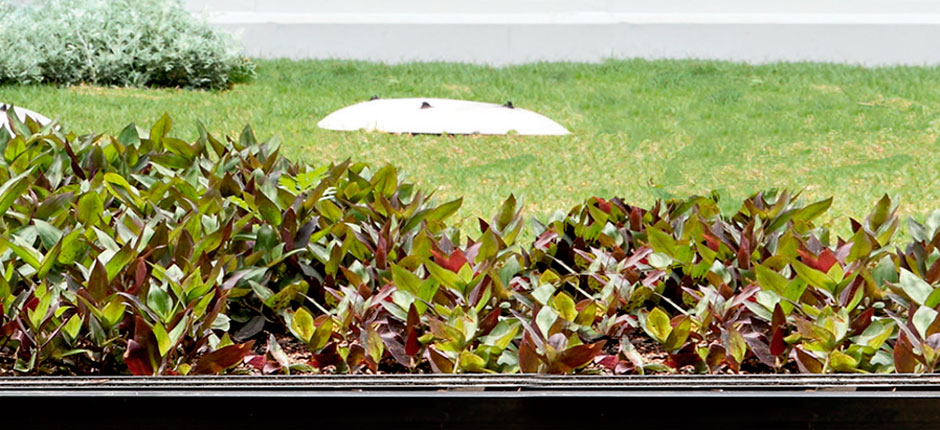 Como fazer um jardim no telhado (sobre telha de fibrocimento)