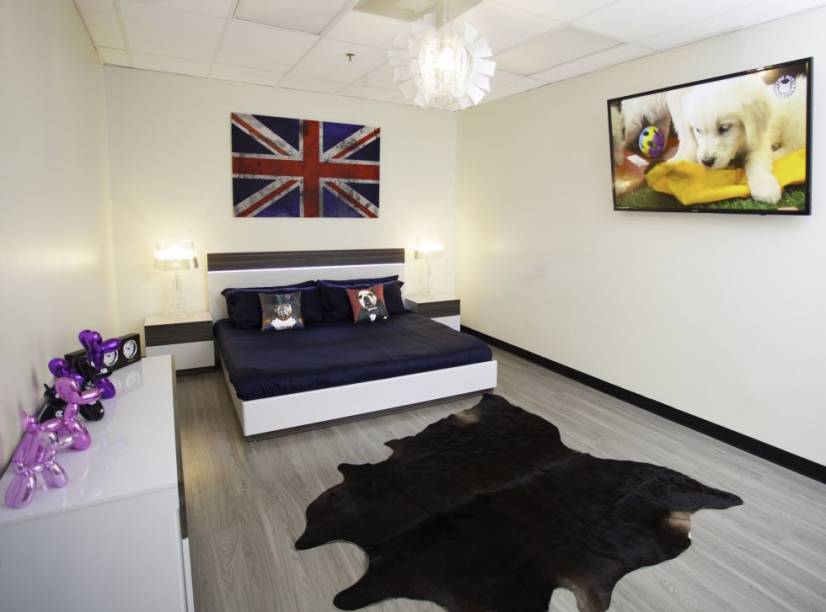 1. <a href="https://dpethotels.com">Dpet hotels</a>, de Los Angeles, tem suítes com TV de 65 polegadas, Netflix, menu a la carte e lençóis de luxo. Os pets podem ser buscados na residencia e levados para o hotel em carros luxuosos como Ferrari, Lamborghini, Bentley, Porsche ou Rolls Royce. 1. <a href="https://dpethotels.com">Dpet hotels</a>, de Los Angeles, tem suítes com TV de 65 polegadas, Netflix, menu a la carte e lençóis de luxo. Os pets podem ser buscados na residencia e levados para o hotel em carros luxuosos como Ferrari, Lamborghini, Bentley, Porsche ou Rolls Royce.