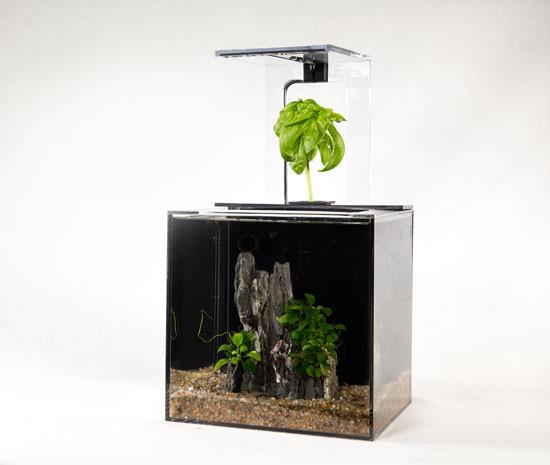 Aquário EcoQube C