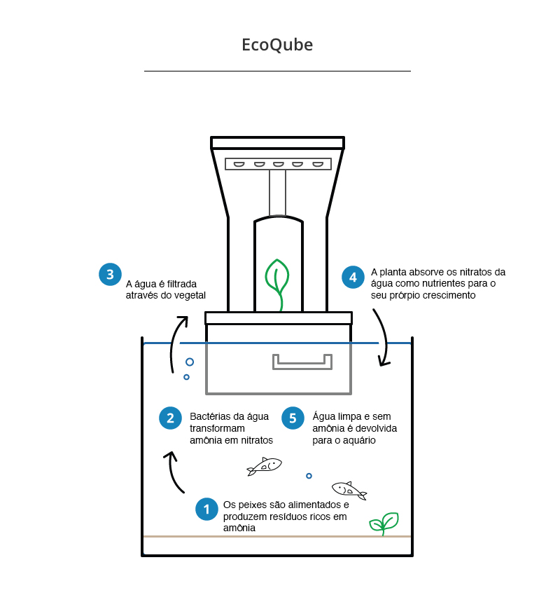 Aquário EcoQube C que imita um ecossistema