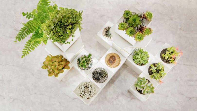 Jardim &eacute; feito com vasos encaix&aacute;veis tipo Lego