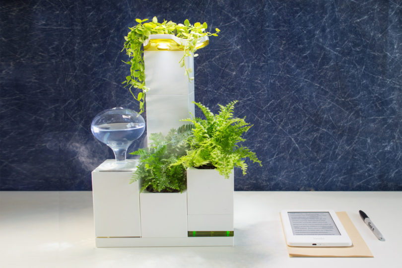 Jardim &eacute; feito com vasos encaix&aacute;veis tipo Lego