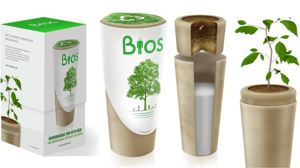 02-conheca-a-urna-biodegradavel-que-transforma-cinzas-em-arvore