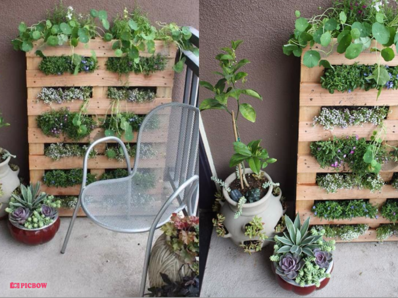 <b><a href="https://lifeonthebalcony.com/how-to-turn-a-pallet-into-a-garden/">Paleta de madeira</a>: </b><span style="font-weight:400;">é possível aumentar o espaço verde de uma pequena varanda com </span><span style="font-weight:400;">este jardim feito a partir de paletas de madeira</span><span style="font-weight:400;">. </span>