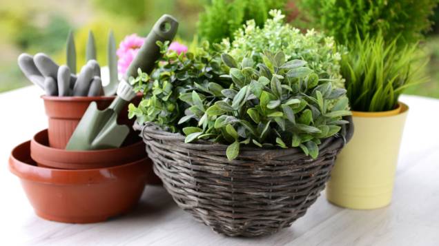 Com cestinhas de vime. Aprenda o passo a passo <a href="https://sewcaroline.com/2012/06/diy-chair-planter.html">aqui</a>. Com cestinhas de vime. Aprenda o passo a passo <a href="https://sewcaroline.com/2012/06/diy-chair-planter.html">aqui</a>.
