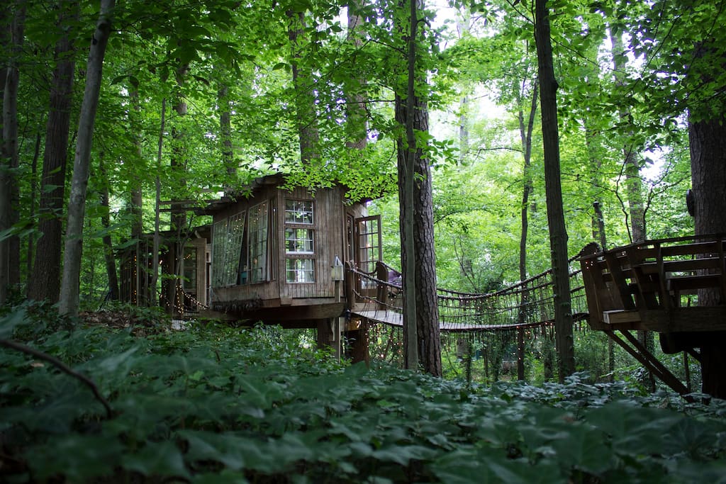 casa-árvore-airbnb (5)