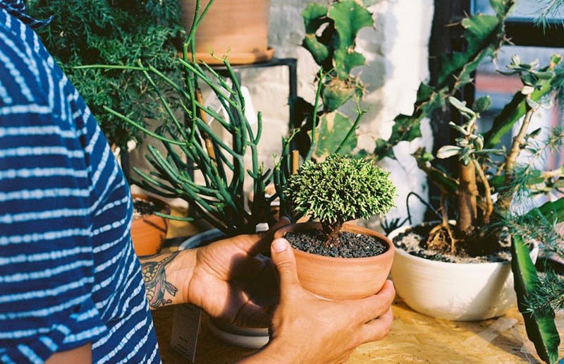 d93dd3b3e18846c61c69f2d061cd53a6c7a42f6b