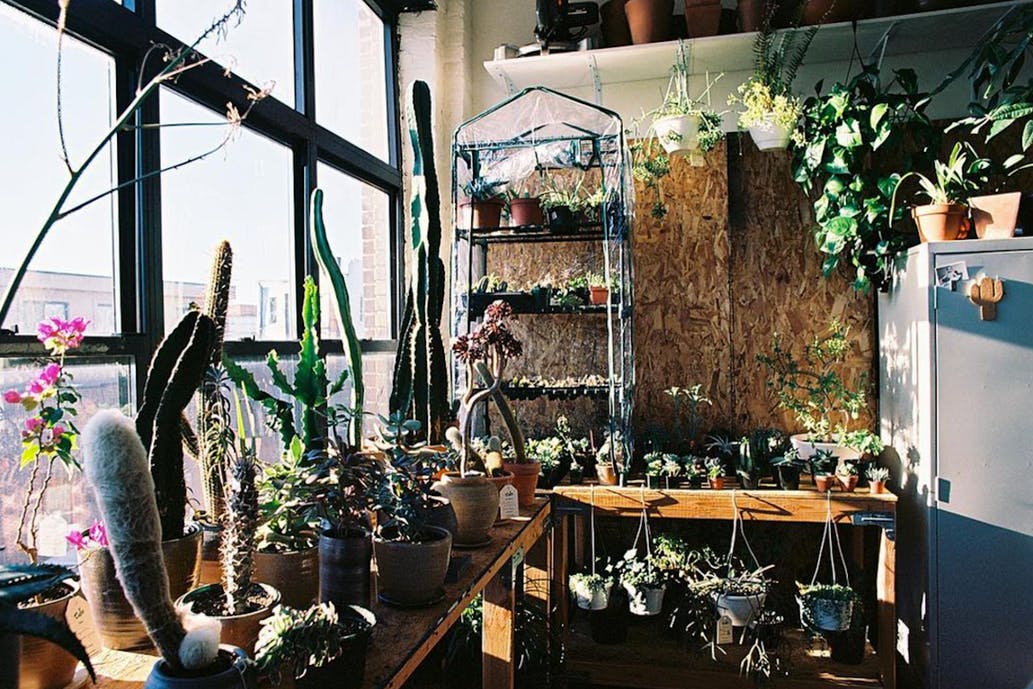 f0989466005d92947752b1b0540e4ebc8686671f