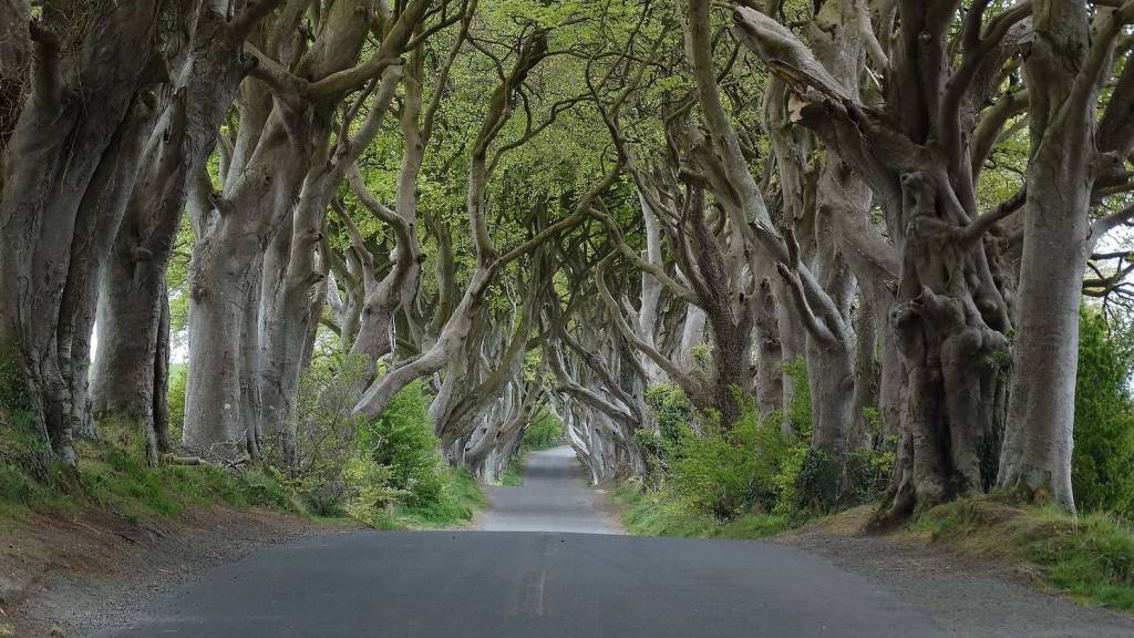 gameofthrones-lugares (9) gameofthrones-lugares (9)