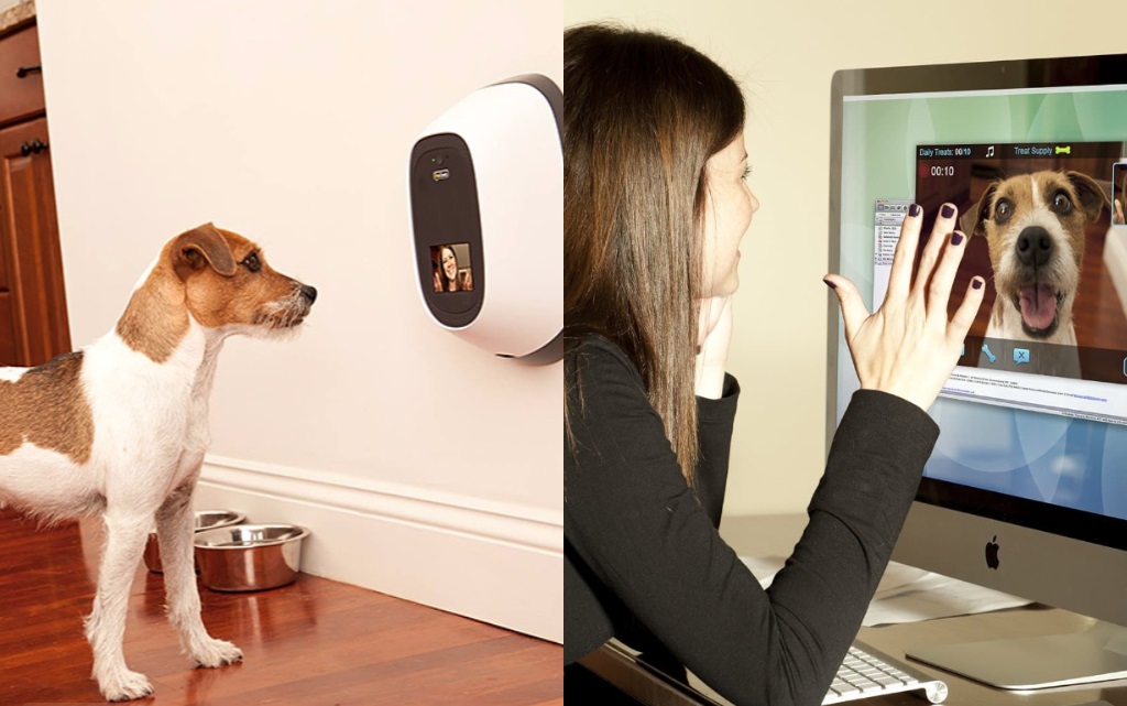 Aparelho permite ligações entre animais de estimação e seu dono