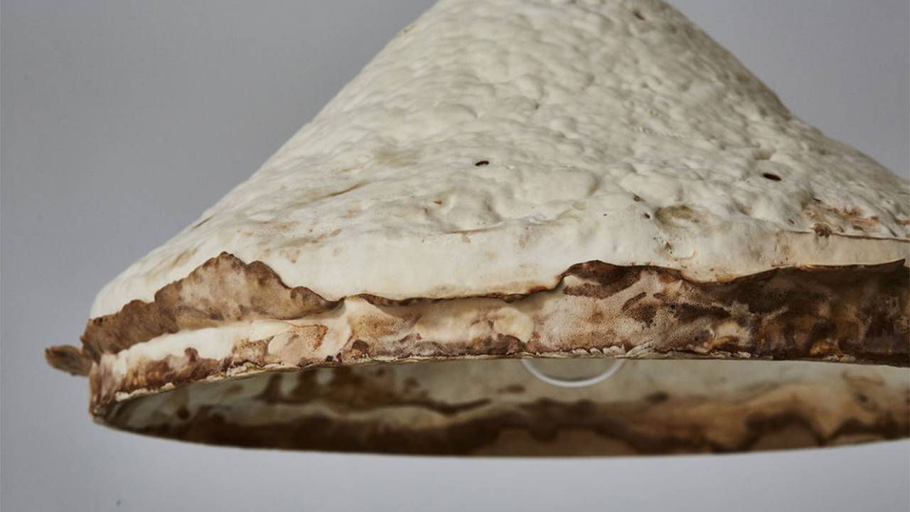 móveis de cogumelo