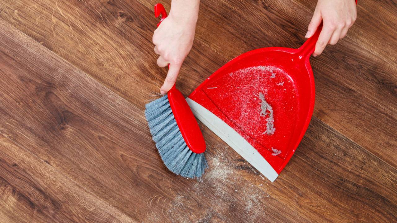 casa alergias doenças respiratórias