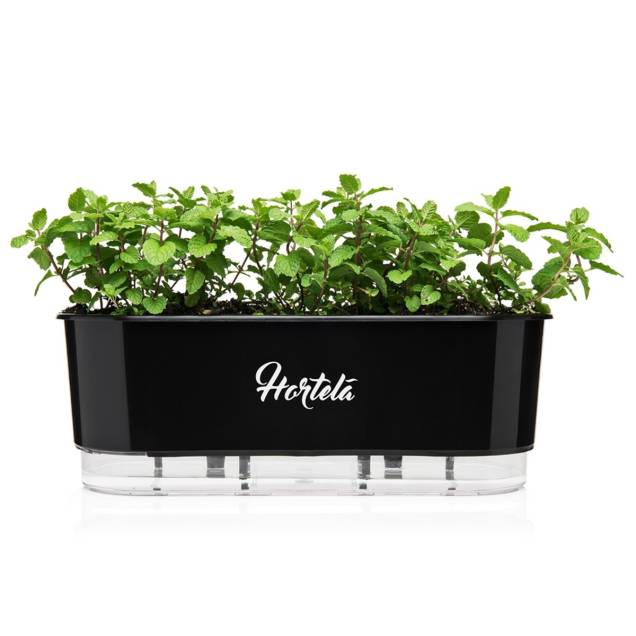 Jardineira Vaso Raiz Autoirrigável Hortelã ( 40 cm), custa R$ 64,90 no supermercado Carrefour. Jardineira Vaso Raiz Autoirrigável Hortelã ( 40 cm), custa R$ 64,90 no supermercado Carrefour.