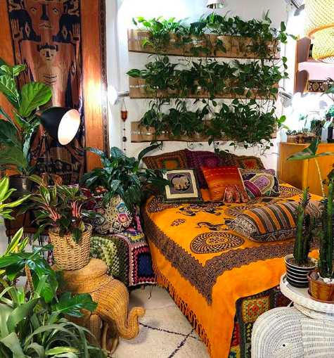Plantas no quarto Plantas no quarto