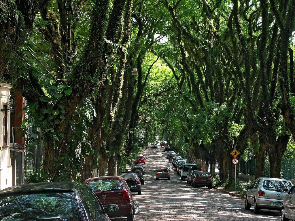arvores-calçadas-ruas-arborizadas arvores-calçadas-ruas-arborizadas