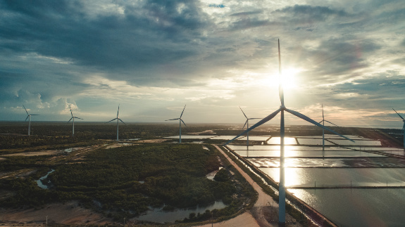 Grupo Heineken inaugura seu maior parque eólico no Ceará