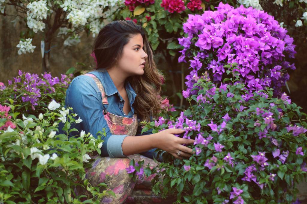 Plantas podem ajudar a tratar a depressão Plantas podem ajudar a tratar a depressão