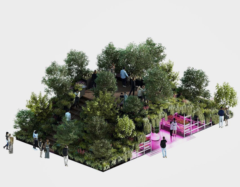 A jardinagem vai salvar o mundo A jardinagem vai salvar o mundo