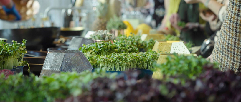 A jardinagem vai salvar o mundo A jardinagem vai salvar o mundo