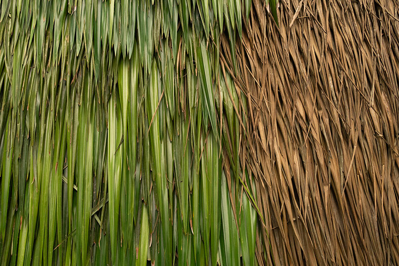 Warka House Warka House