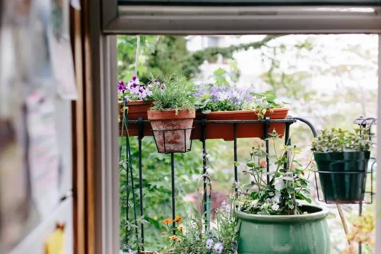 inverno_cuidados_com_plantas_jardim_Alexis_Buryk inverno_cuidados_com_plantas_jardim_Alexis_Buryk