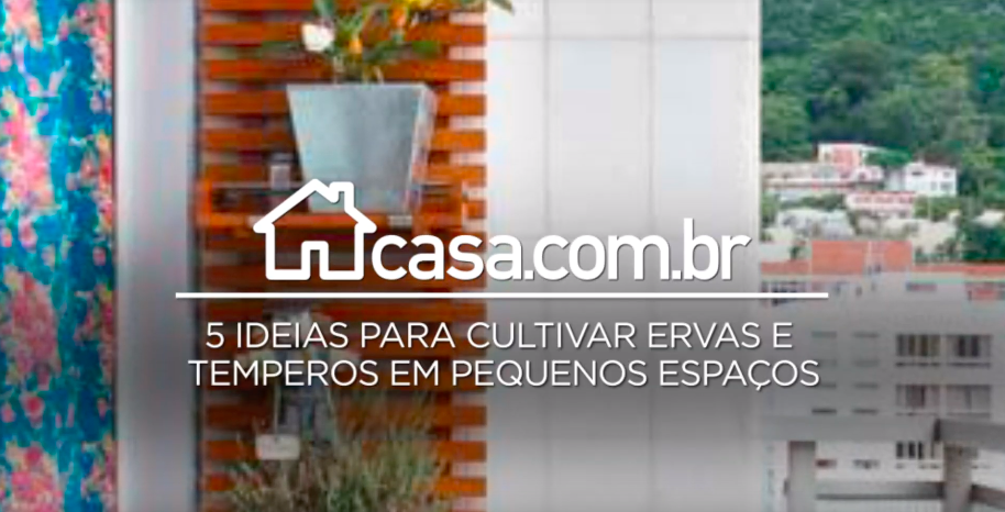 5 ideias para cultivar ervas e temperos em pequenos espaços