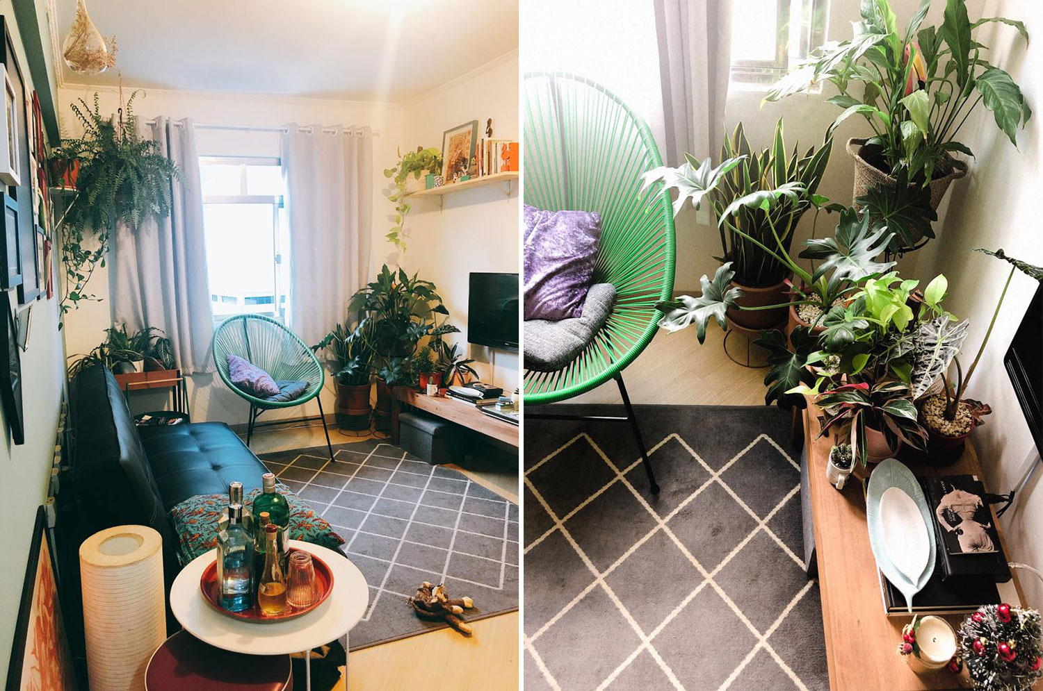 01-plantas-lu-andrade