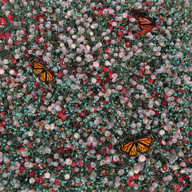 Projeto do escritório Elena Marfedini, dos EUA. Projeto do escritório Elena Marfedini, dos EUA.