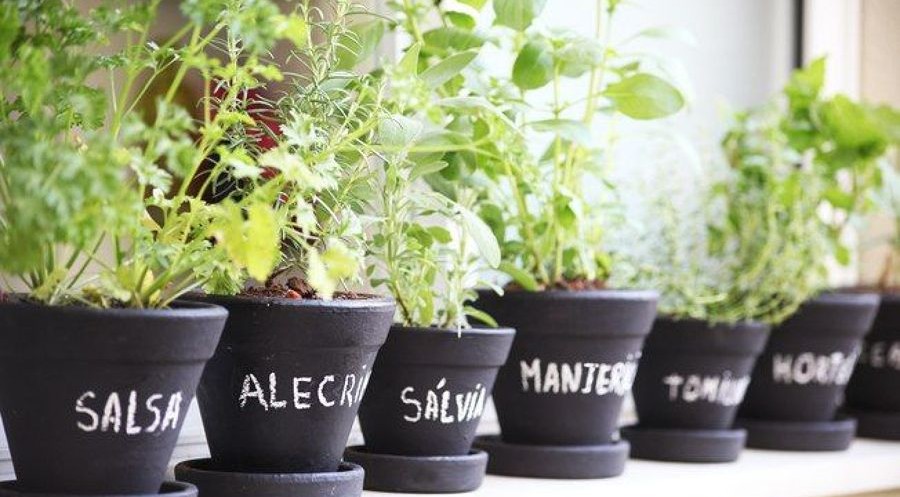 1-hortas-da-casacor 1-hortas-da-casacor