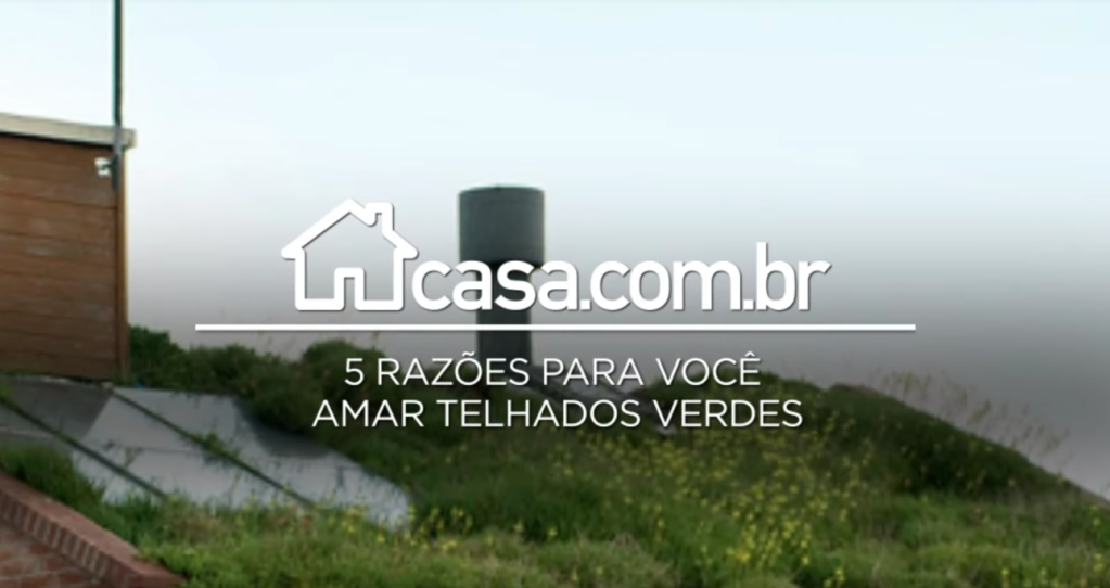 5 razões para você amar telhados verdes