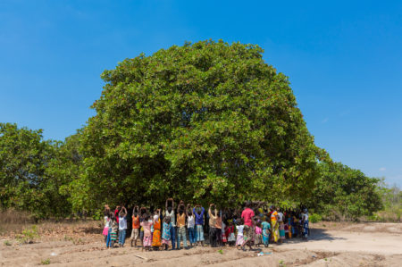 Fotografias exploram a relação do homem com a natureza