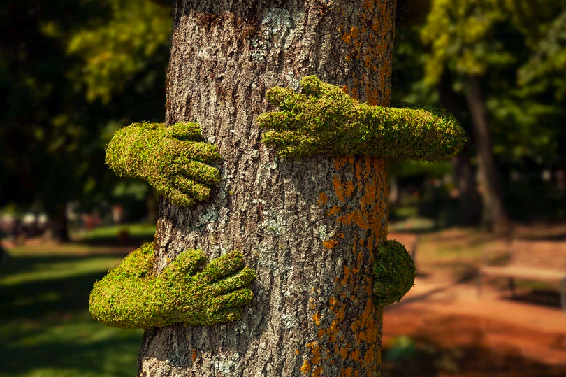 2-instalação-tree-hug-na-frança-exalta-amor-pela-natureza