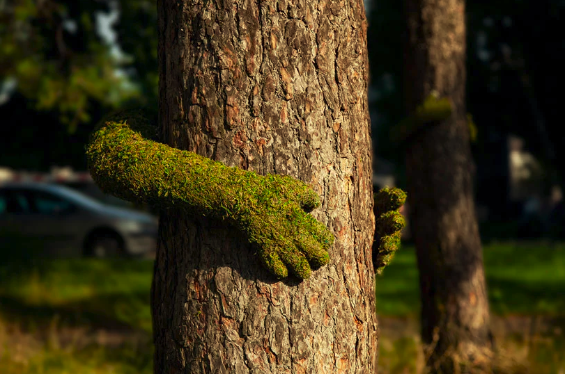 4-instalação-tree-hug-na-frança-exalta-amor-pela-natureza