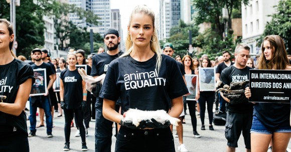 animal equality animal equality