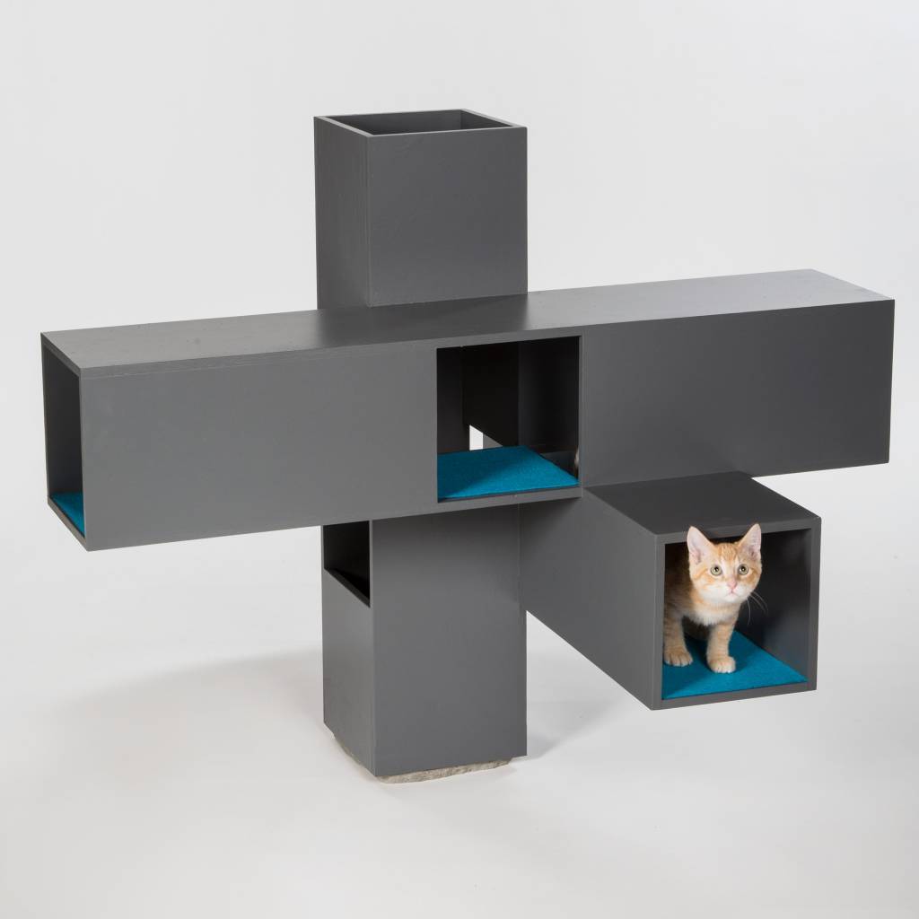 architects-for-animals-2019_dezeen_2364_col_10