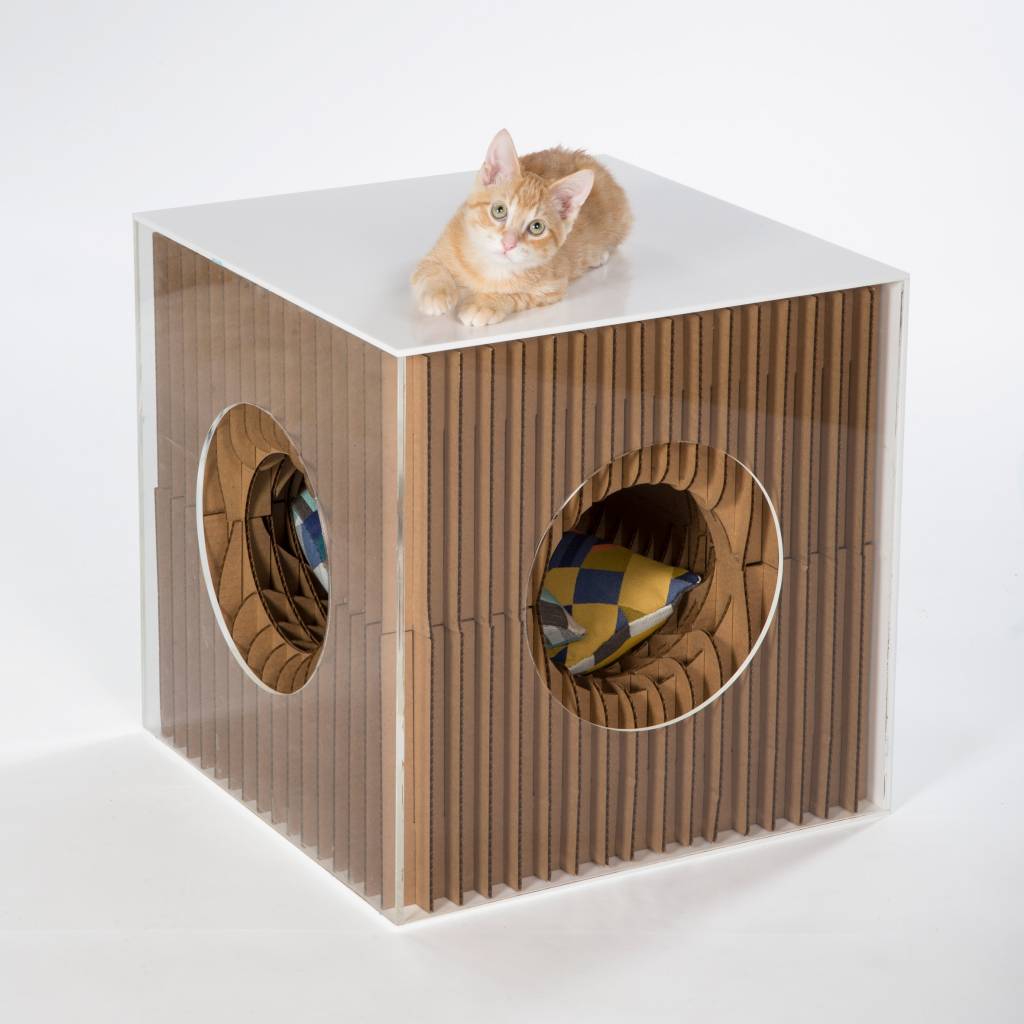 architects-for-animals-2019_dezeen_2364_col_3