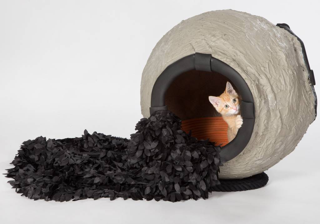 architects-for-animals-2019_dezeen_2364_col_8