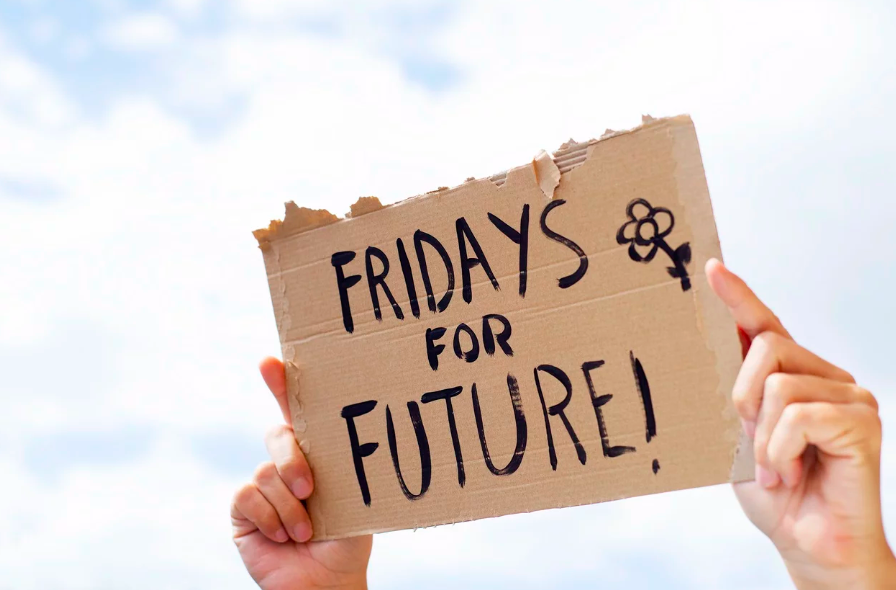 fridays-for-future fridays-for-future