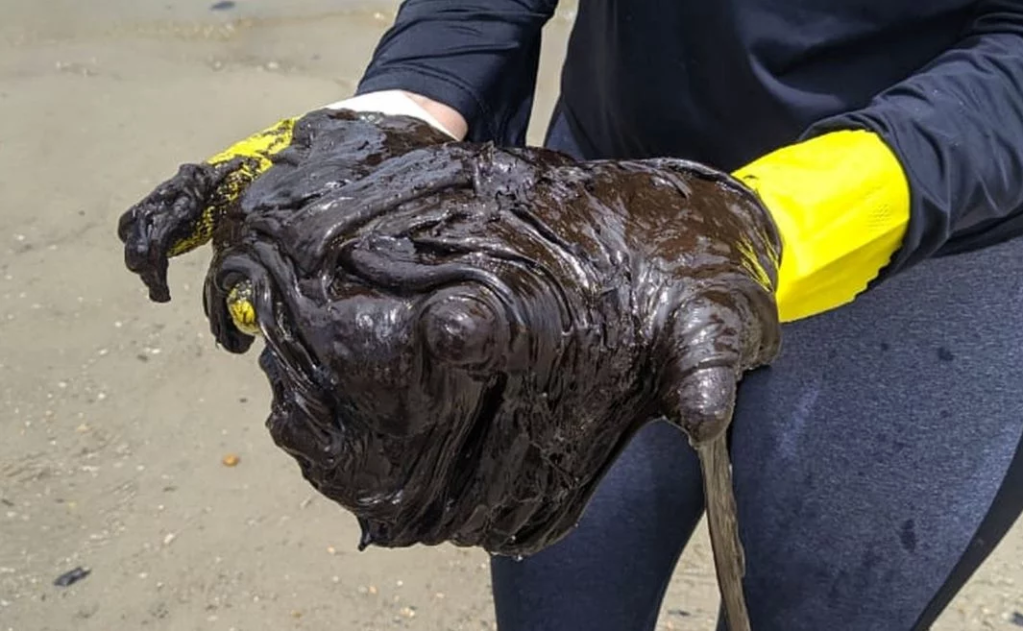 Óleo das praias nordestinas podem virar asfalto e bloco de construção