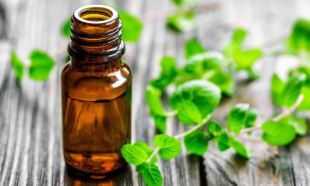 saude-fitoterapia-cancer-68660 saude-fitoterapia-cancer-68660