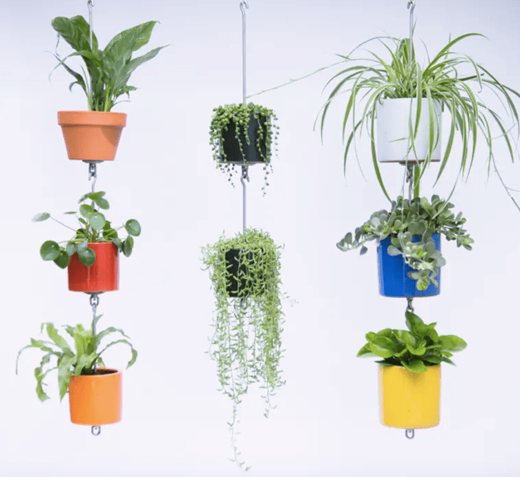1-kit-ajuda-a-transformar-suas-plantas-em-um-lindo-jardim-vertical 1-kit-ajuda-a-transformar-suas-plantas-em-um-lindo-jardim-vertical
