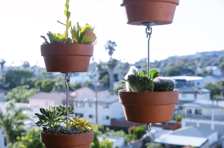 3-kit-ajuda-a-transformar-suas-plantas-em-um-lindo-jardim-vertical 3-kit-ajuda-a-transformar-suas-plantas-em-um-lindo-jardim-vertical